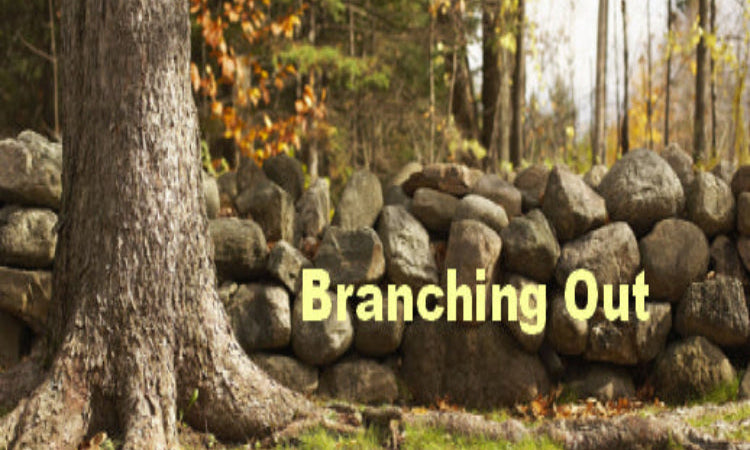 A double bill of Stagescripts Plays - Bolton News