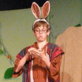The Rabbit King