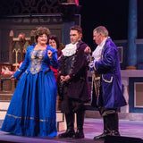 The Slipper And The Rose