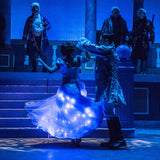 The Slipper And The Rose