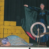 Sleeping Beauty (Mitcheson, Stevens & Ward)