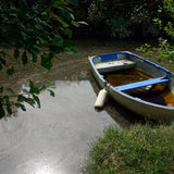 The Mind In The Willows