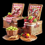 The Picnic
