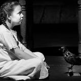 All That We Seem (adpated from Edgar Allen Poe)