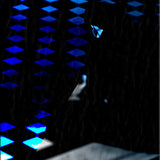 The Night Visitor