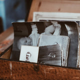 Family Trees Have Many Branches