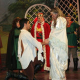 Robin Hood (McWilliams)