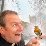 The Fool At Yule