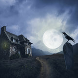 The Witch's House